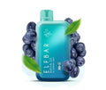 ELF BAR RAYA D1 – Blueberry Mint - Vape Shop Gurgaon VapeshopGurgaon