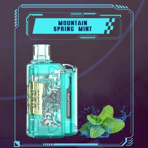 IGET FLARE B10000 – Mountain Spring Mint - Vape Shop Gurgaon VapeshopGurgaon
