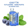 IGET FLARE B10000 – Blueberry Mint - Vape Shop Gurgaon VapeshopGurgaon